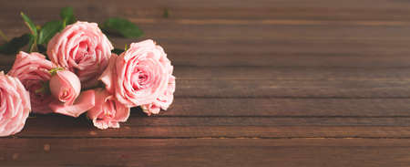 Pink blooming roses on rustic wooden horizontal banner backgroundの写真素材