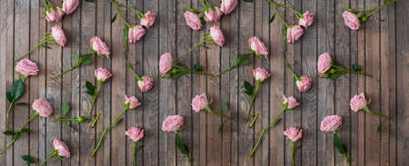 Pink blooming roses on rustic wooden horisontal banner backgroundの写真素材