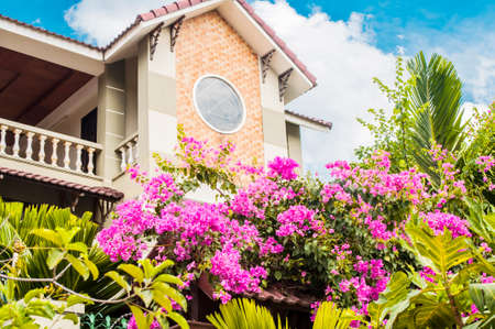 Big beautiful house in blooming summer flowersのeditorial素材