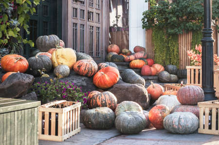 Halloween decoration with pumpkins on the stairsの写真素材