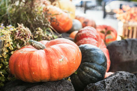 Halloween decoration with pumpkins on the stairsの写真素材