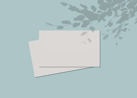 Blue background with business cards and leaves shadow mock up designの写真素材