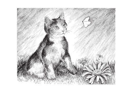 A playful calico kitten chases a butterfly - vector version of my original pen   ink drawing のイラスト素材