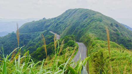 Country Road of Taiwanの写真素材
