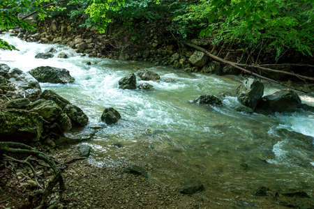 Mountain river in forest and mountain terrain.