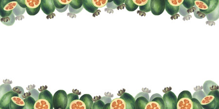 Watercolor frame with hand drawn feijoa fruits, branches with leaves.の写真素材