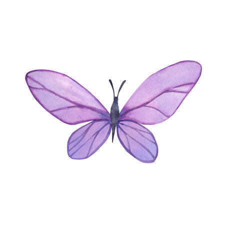Watercolor hand drawn spring lilac butterfly.の写真素材