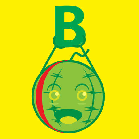 vector graphic illustration of watermelon characters with variations of the letter B. can be used for education or other products.のイラスト素材