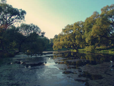 sun reflected in the water of the lake through the trees