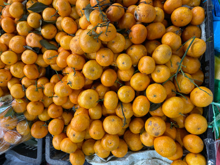 A pile of organic mandarin oranges random shape.の写真素材