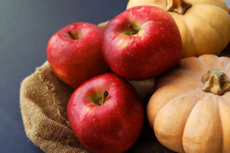 Fresh red apples and orange pumpkins close up, autumn compositionの写真素材