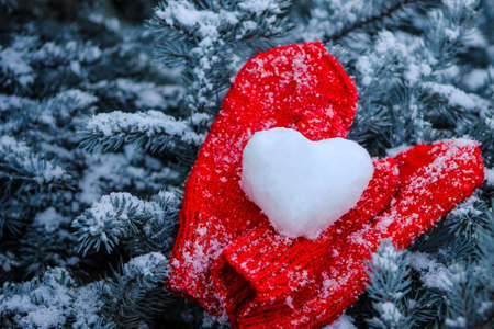 Red mittens with snow heart on pine tree snowy branchesの写真素材