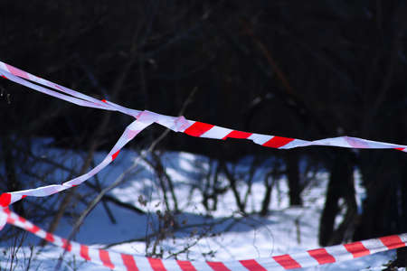 Red and white barrier tape outdoors, forest backgroundの写真素材