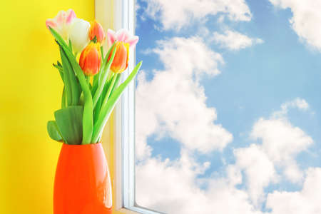 Flowers in vase at the window, blue sky outsideの写真素材