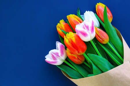 Bouquet of tulips on blue backgroundの写真素材