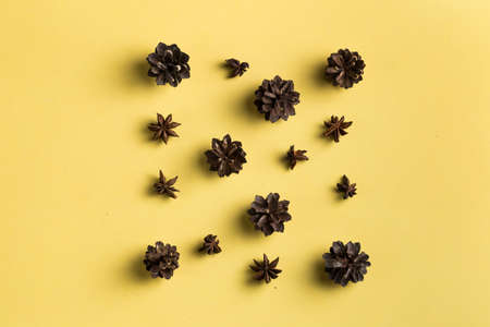 spice store. top view photo. pine cones and anise stars in square-shaped
