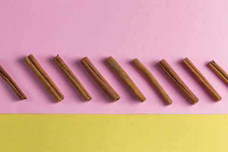 cinnamon sticks sorted into a row. selection concept. copy spaceの写真素材