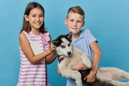 little boy and girl having fun with their dog in the studio, close up portrait, isolated blue backgroun, entertainmentの写真素材