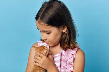 kind friendly brunette girl kissing her little cat, close up portrait, isolated blue background,...