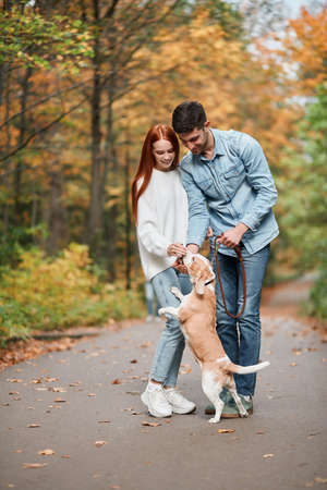 happy cheerful pleasant couple touching the nose of dog, feeding it, while walking in the park with amazing autumn landscape . full length photoの写真素材
