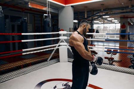 serious sportsman preparing for boxing, close up side view photo. copy space.の写真素材