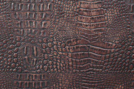 Crocodile leather texture