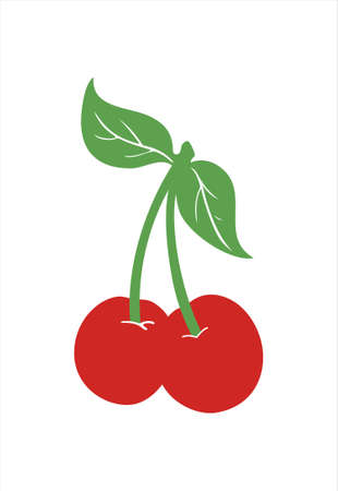 Cherry vector illustation isolated on white.のイラスト素材
