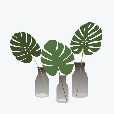 Monstera leaf in vase. Three leaves of tropical plant in glass. Minimal style poster design.のイラスト素材