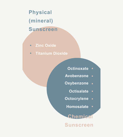 Infographic of ingredients in sunscreen. Physical and chemical ingredients. Vector illustration.のイラスト素材