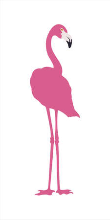 Silhouette of pink flamingo bird. bird is standing on both legs. Isolated vector illustration.のイラスト素材