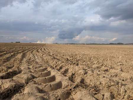 Agriculture field plowed with a tractor after harvestの写真素材