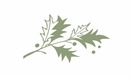 Green branch of maple oak with acorns. Vector illustration on white background.のイラスト素材
