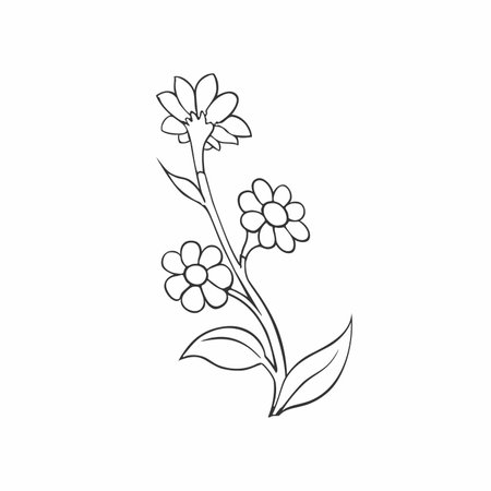 Chamomile, daisy plant. A flower is drawn in black and white on a white background. Isolated vector illustration.のイラスト素材