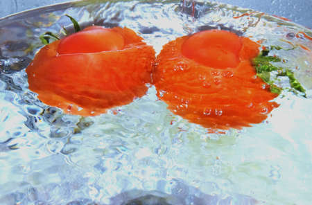 tomatoes in waterの写真素材