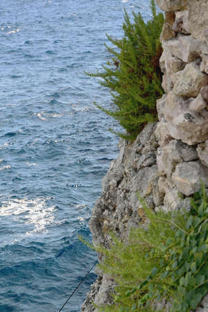 top view of a sea / ocean and the rocksの写真素材