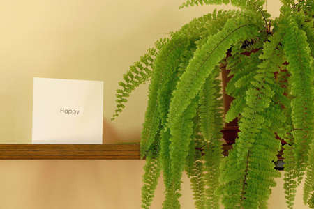 The fern plant and to "Happy" white card (on the shelf)の写真素材