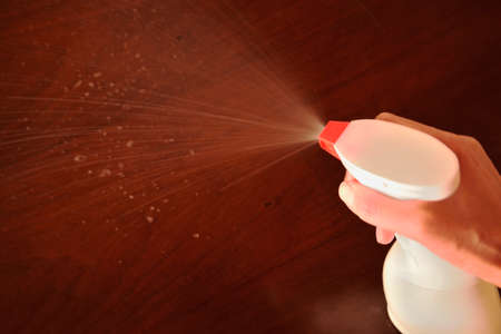 Hand holding detergent spray on the wood