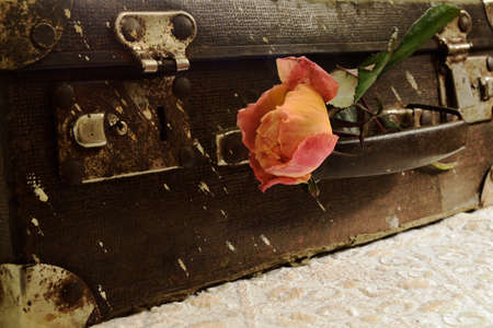 Detail of an old vintage suitcase with a roseの写真素材
