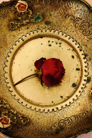 Part of an antique plate with a rose insideの写真素材
