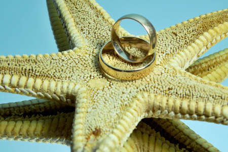 Pair of wedding rings on starfishの写真素材