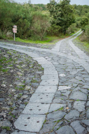 The road leads to a fork. Which do you choose?の写真素材