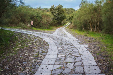 The road leads to a fork. Which do you choose?の写真素材