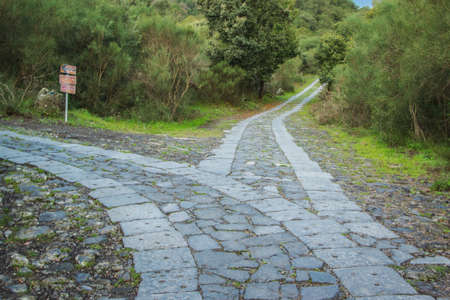 The road leads to a fork. Which do you choose?の写真素材