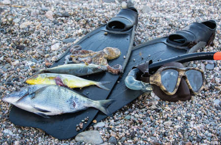 Freshly caught fishの写真素材