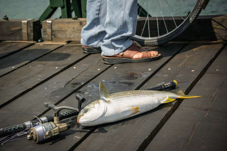 Old experienced fishermanのeditorial素材