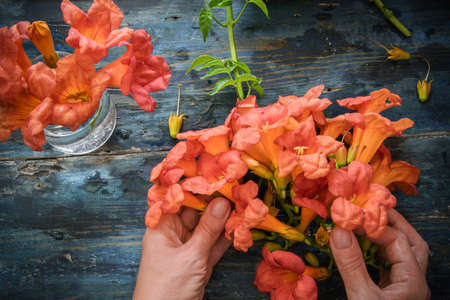 Top view of a woman's hands arranging flowers in a glass jar on a wooden rustic blue tableの写真素材