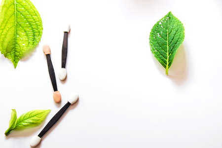Top lines of makeup brushes on white background with green leavesの写真素材