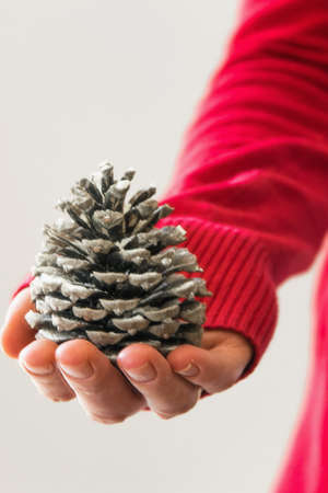 Woman holds pine coneの写真素材