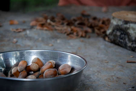 Hazelnuts seasonの写真素材