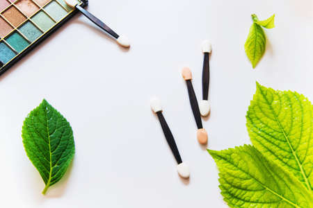 Top shades of makeup brushes and eye shadows on white background with green leavesの写真素材